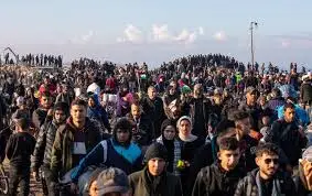 Gaza Crisis